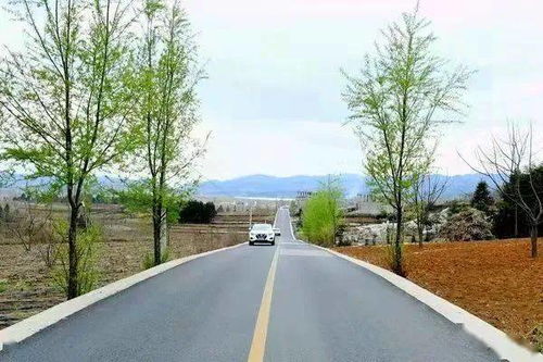 人民日报头版 贵州农村公路四通八达