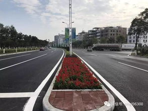 建港路路面大修已完工,海沧马拉松赛的 颜值加速度