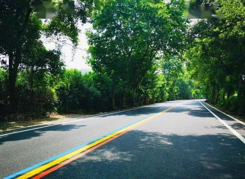 沿着 最长彩虹公路 一路畅游无锡