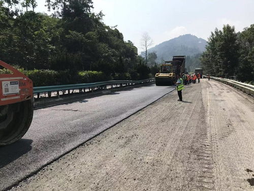 省造价站调研贵新高速公路路面养护工程施工现场