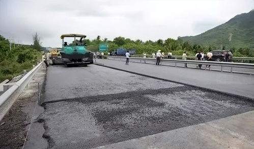 迷信贪官敛财6000万,国家运动员给他当陪练,被抓前还找大师算卦