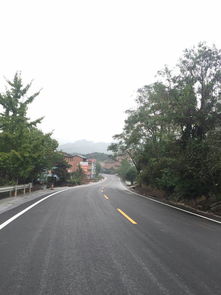 忠县公路养护工程顺利完成 路桥附属工程建筑劳务分包助推项目建设